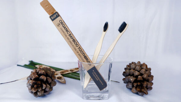 DSF9135-1 Bamboo Tooth Brush