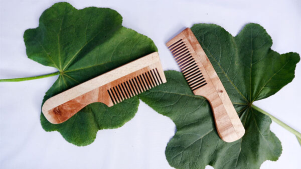DSF9158 Neem Wooden Comb