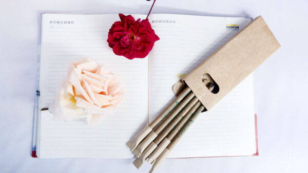 Combo of Plantable seed pen box (Pack of 5) and newspaper pencils box (Pack of 10).