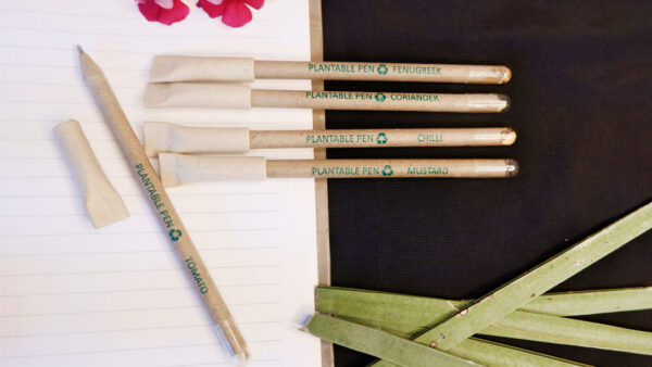 Combo of Plantable seed pen box (Pack of 5) and newspaper pencils box (Pack of 10).