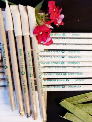 Combo of Plantable seed pen box (Pack of 5) and newspaper pencils box (Pack of 10).