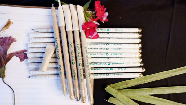 Combo of Plantable seed pen box (Pack of 5) and newspaper pencils box (Pack of 10).