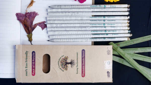 Plantable seed newspaper pencil box (Pack of 10)
