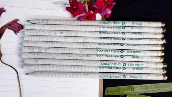 Plantable seed newspaper pencil box (Pack of 10)