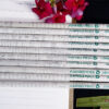 Combo of Plantable seed pen box (Pack of 5) and newspaper pencils box (Pack of 10).