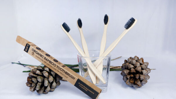 DSF92344-1 Bamboo Tooth Brush