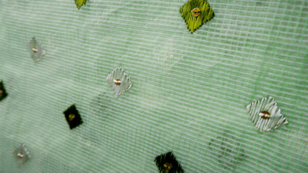 Green Phulkari Dupatta