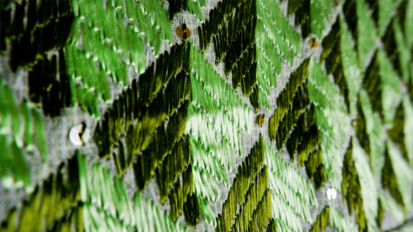 Green Phulkari Dupatta