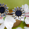 Black Kundan Stud