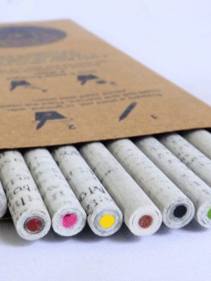 Plantable seed newspaper color lead pencil box (Pack of 10)