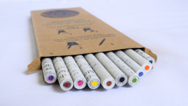 Plantable seed newspaper color lead pencil box (Pack of 10)