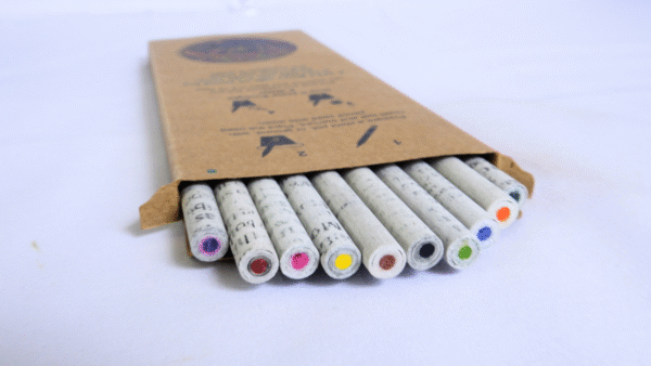 Plantable seed newspaper color lead pencil box (Pack of 10)